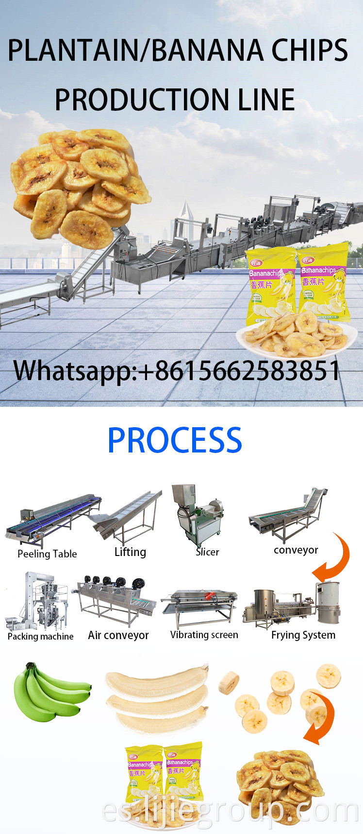 Banana Chips Making machine 